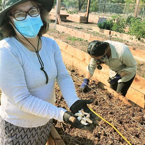 Village Exchange Center - Gotham Greens