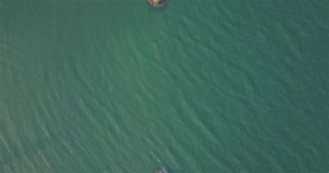 Image result for Local HD XXXII