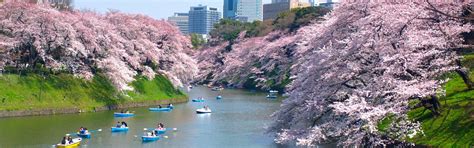 Visit Tokyo: Your Complete Travel Guide | Asia Highlights