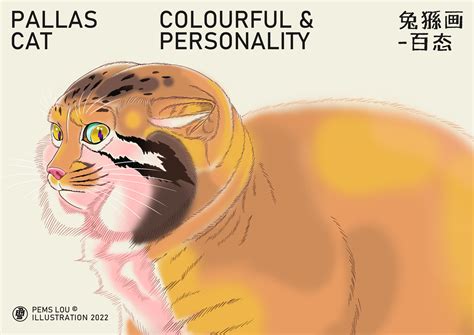 Image result for Figure Pattern