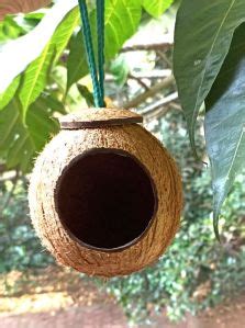 Ecoco Creations Udupi - Coconut Shell Bird Feeder Manufacturer and Supplier