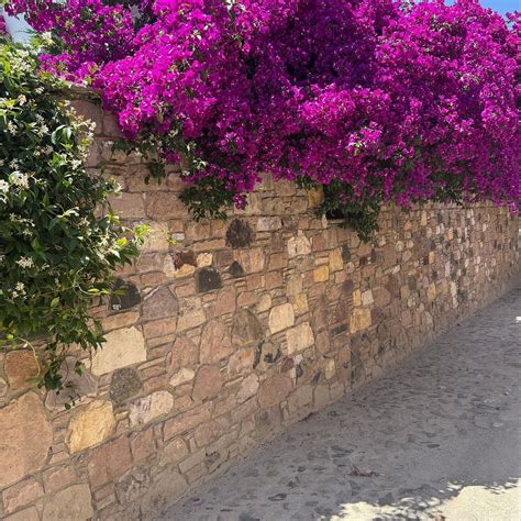 FIKRET BEY KONAGI (Namik Kemal) - Inn Reviews & Photos - Tripadvisor