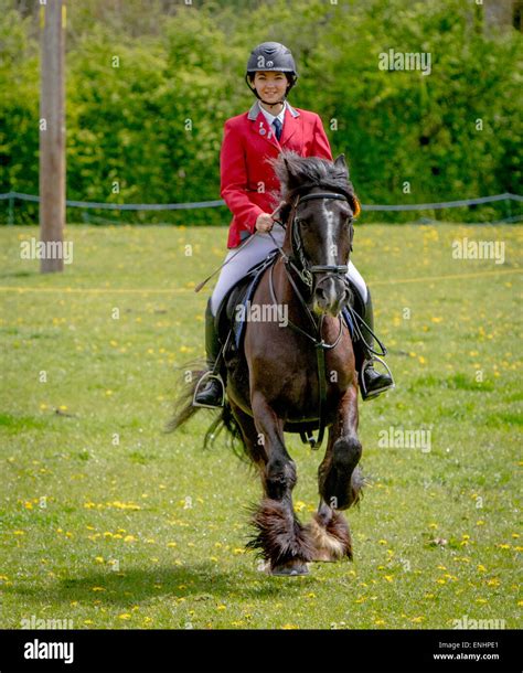 Riders and their horses take part in a local Riding Club Show held at ...