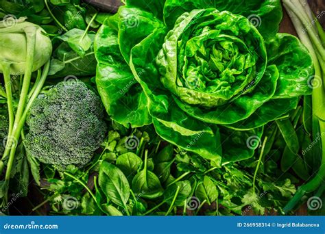 Green Organic Vegetables and Dark Leafy Food Background As a Healthy Eating Concept of Fresh ...
