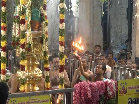 Andhra Pradesh: Panchami Saare ritual draws large crowd, seeking Lord ...