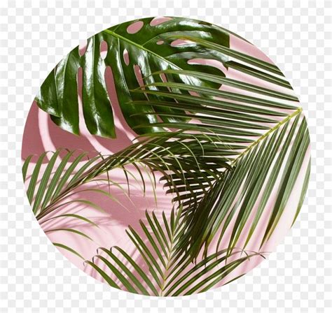 re sources PNG PNG Minimalist PNG PNG PNG Aesthetic PNG Aesthetic Aesthetic Vector Art Aesthetic