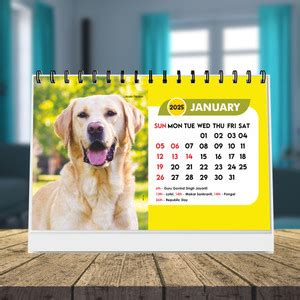 ESCAPER Animal Friends Desk Calendar 2025 2025 Table Calendar Price in ...