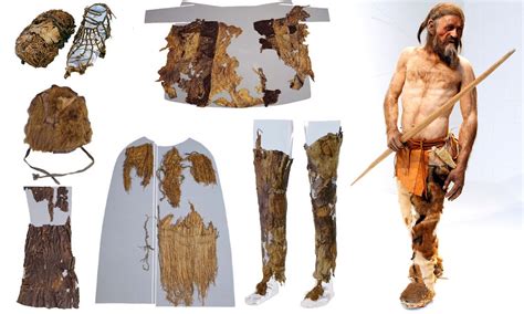 When Did Early Humans Start Wearing Clothes at Laura Granados blog
