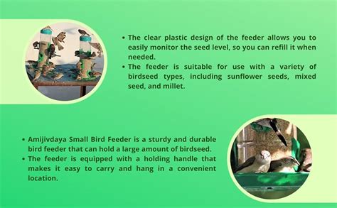 Amijivdaya Plastic Bird Feeder with Holding Handle with 2 Feed Nozzles ...
