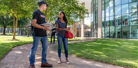 Spring Academy 的图像结果