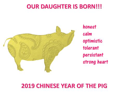 2019女儿新年猪年出生 | Templates at allbusinesstemplates.com