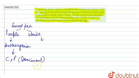 Image result for Complementary Genes