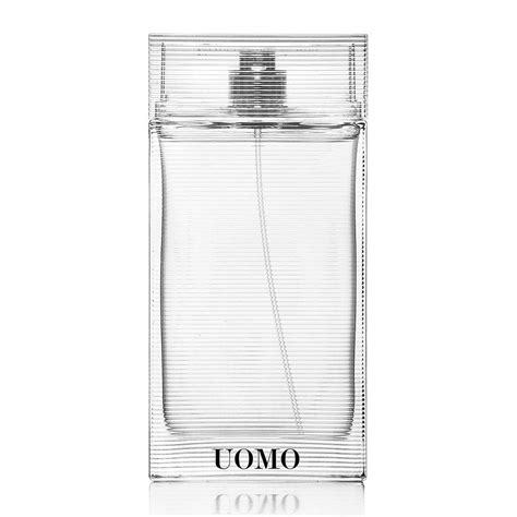 Ermenegildo Zegna Uomo Eau de Toilette 50ml : Amazon.in: Beauty