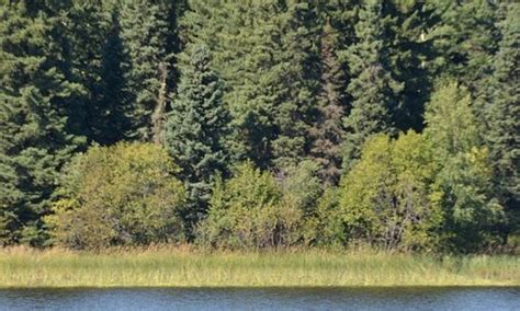 Buck Lake Tourism (2021): Best of Buck Lake, Canada - Tripadvisor