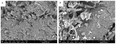 Optimising Supercritical Carbon Dioxide Extraction of Rosmarinic Acid ...
