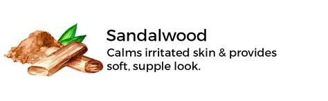 Brillare Rose Face Wash, Anti Ageing Skin, Sandalwood & Coconut Face ...