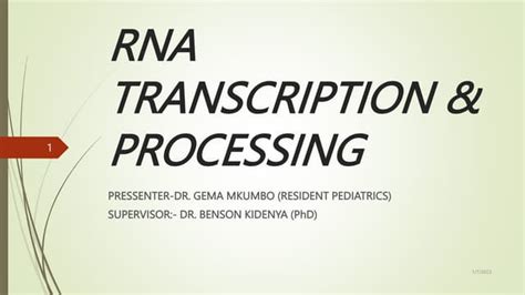 Image result for RNA Transcription Process