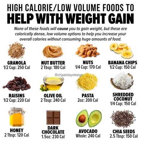 dog food to help gain weight