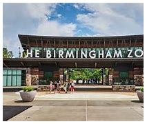 Image result for birmingham zoo news