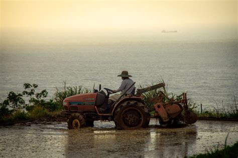 Tractor Front View 的图像结果