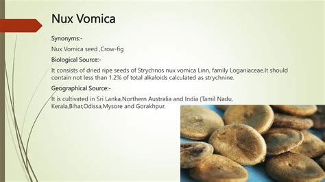 Transverse Section Bark and Seed ( Cinchona, Cinnamon,Isapgol,Nux ...