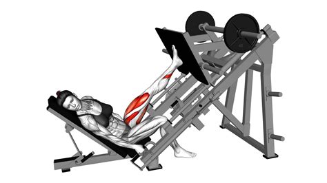 Sled Angled Single Leg Press (female) - Exercise Guide & Tips
