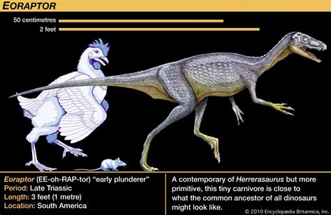 Dinosaur | Definition, Types, History, Names, & Facts | Britannica