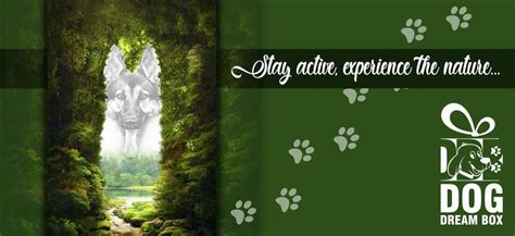 Entry #10 by sahanchatu for Re-create horizontal version from the ...