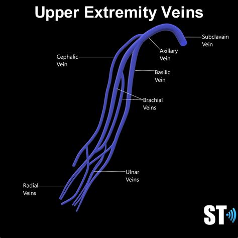 Upper Extremity Venous Doppler – Sonographic Tendencies