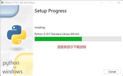 Python Run Times Installation 的图像结果