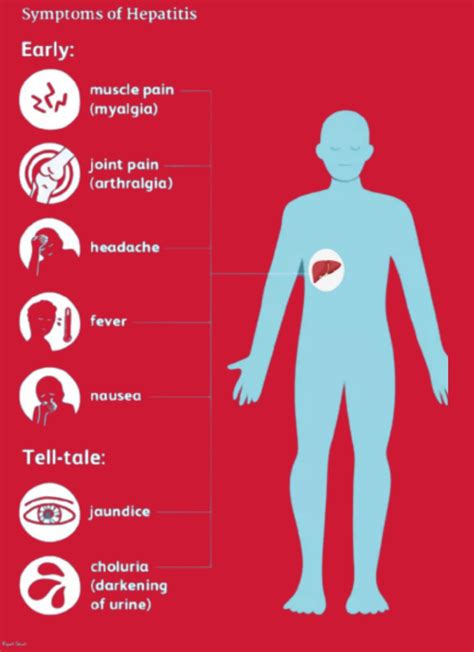 Stepping Stone | Home