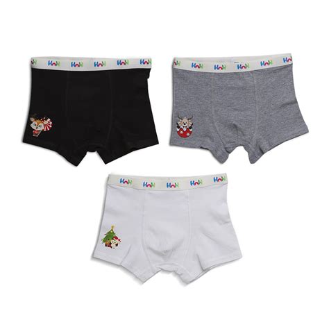 Buy HIP N Happy Boys Boxer Briefs Cotton Underwear Combo Trunks ...