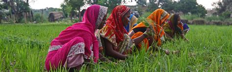 Partnerships For Impact - Enabling Investments To Maximize S