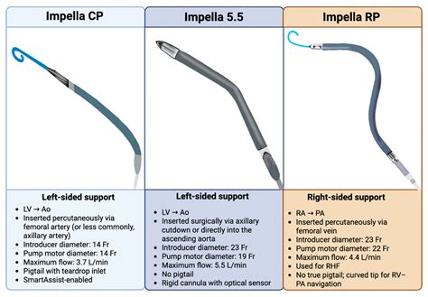 The Role of Impella in Cardiogenic Shock in the Post-DanGer Shock Era