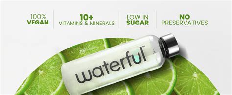Waterful Lime and Lemon (30 gms X 5 sachets) 100% Natural, Real Fruit ...