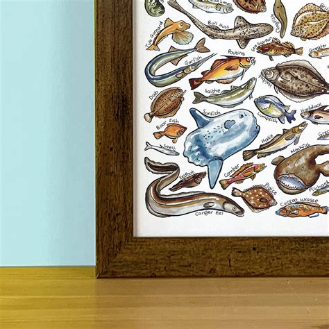 Sea Fish Of Britain Wildlife Print By Alexia Claire