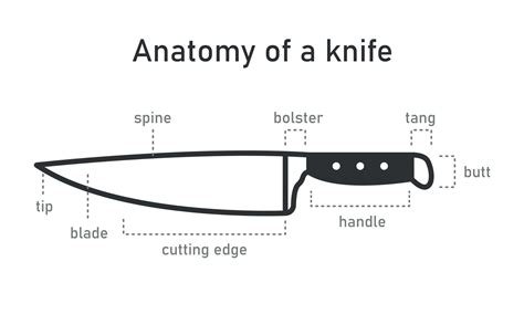 The Anatomy of Chef Knife. Tool for cooking, hunting, military. Kitchen utensils. Side view ...