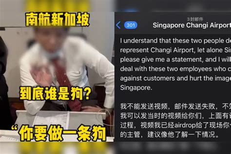 旅客称在新加坡乘机用中文质疑收费标准遭辱骂“是狗”，南航回应