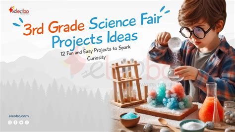 3rd Grade Science Fair Projects 的图像结果