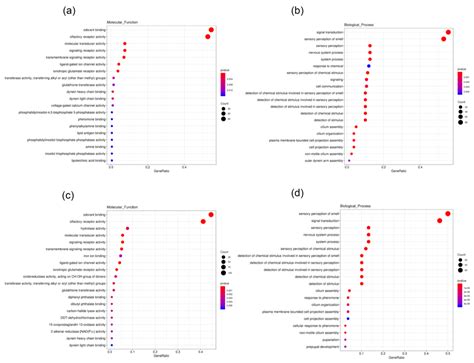 Transcriptome Analysis and Identification of Chemosensory Genes in ...