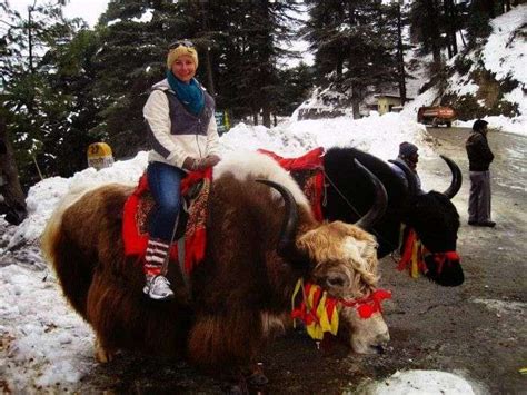 37 Best Things To Do In Manali In 2026 For Solemn Joy