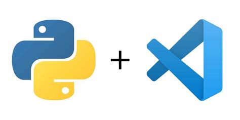 Install Python Libraries in vs Code 的图像结果