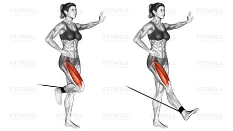 Band Standing Leg Extension: Exercise Guide, Techniques, Benefits, How ...