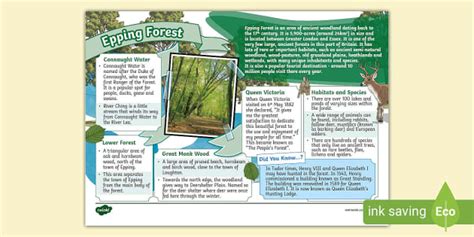 Epping Forest Fact File