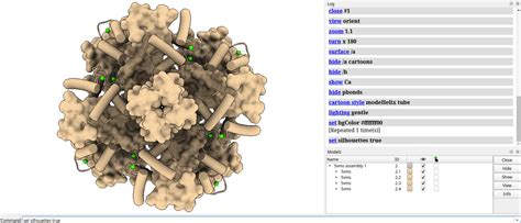 Chimerax SYM Function 的图像结果