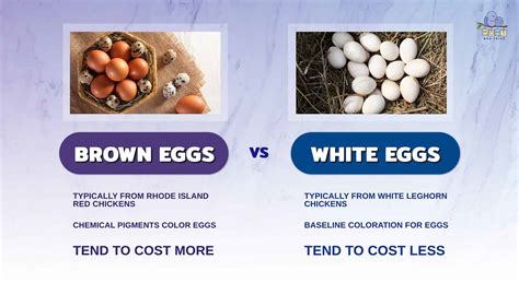 Brown Eggs vs. White Eggs: What Causes The Different Colors?