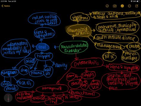 Image result for Musculoskeletal System Concept Map