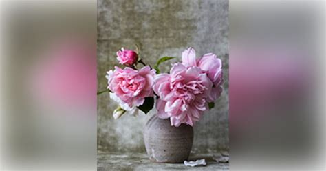 Pancoast Funeral Home Vineland, New Jersey (NJ) | Who Passed On