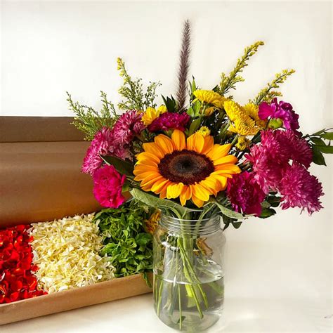 Onam Special – Shades of Spring