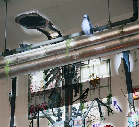 Image result for Giant Talking Script